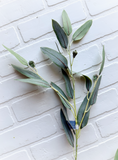 29" Soft Eucalyptus Seed Spray