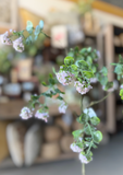 24" Mini Viburnum Spray - Pale Pink