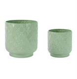 Garden Green Iron Planter