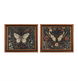 24" Assorted Framed Butterfly Print