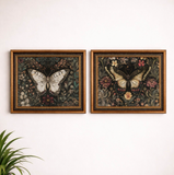 24" Assorted Framed Butterfly Print