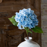 20" Blue Hydrangea Stem