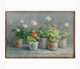 16" X 10" Farmhouse Geraniums Crop Ii