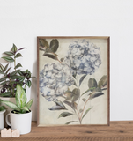 16" X 20" Twilight Hydrangea III