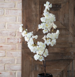 39" White Sakura Flower Spray