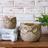 Professor Hoot Planter