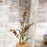 34" Burnt Orange Wild Flower Branch
