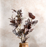 30" Fall Pyrostegia Branch