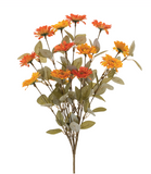 21" Sunset Gerbera Daisy Bush