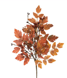 20" Pumpkin Spice Spray