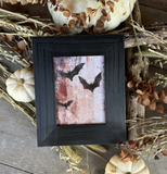 Black Bats Framed Print