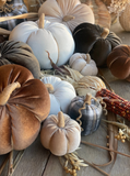 Large Walnut Velvet Pumpkin