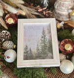 Evergreen Forest Framed Print