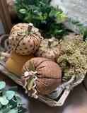 6" Orange Harlequin Pumpkin