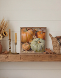 8" X 8" Pastel Pumpkin Arrangement