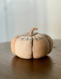 7" Ryder Plaid Pumpkin