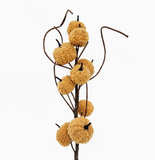 Sherpa Pumpkin Branch - Camel