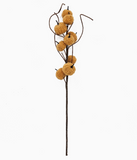 Sherpa Pumpkin Branch - Camel