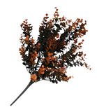 Black + Orange Eucalyptus Pick