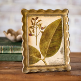 5x7 Antique Gold Scallop Edge Frame