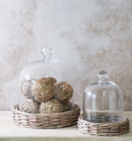 Willow Base Glass Cloche