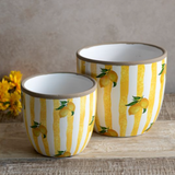 Yellow Stripe Lemon Planters