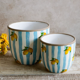 Blue Stripe Lemon Planters