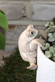 Beige Ceramic Frog Pot Hanger