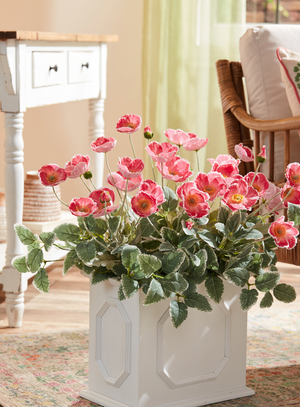 Cedar Falls | Real Deals