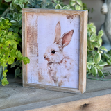 White Rabbit Frame
