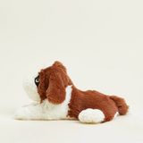 St. Bernard Warmies