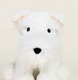 Westie Warmies