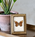 3.5" Vintage Gold Photo Frame