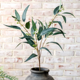 33" Eucalyptus + Fruit Stem