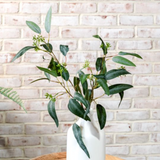 23.5" Eucalyptus Stem