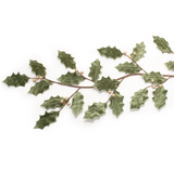 65" Holly Leaf Garland