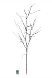 48" LED Snowy Branch