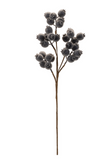 21" Frosted Blueberry Spray