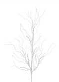 35" White Pine Twig Branch
