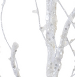 35" White Pine Twig Branch