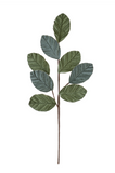 24.5" Velvet Leaf Spray - Forest Green Mix