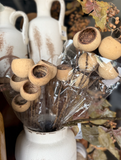 Pods Twig Stem Bundle