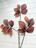 30" Beech Leaf Spray - Brown