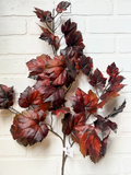 36" Grape Leaf Spray - Rust/Brown