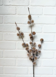 35" Globe Thistle Spray - Beige