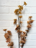 42" Flowering Pod Spray - Beige