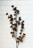 42" Flowering Pod Spray - Dark Brown/Forest