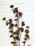 42" Flowering Pod Spray - Dark Brown/Forest