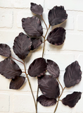 30" Beech Leaf Spray - Dark Brown