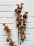 42" Flowering Pod Spray - Brown